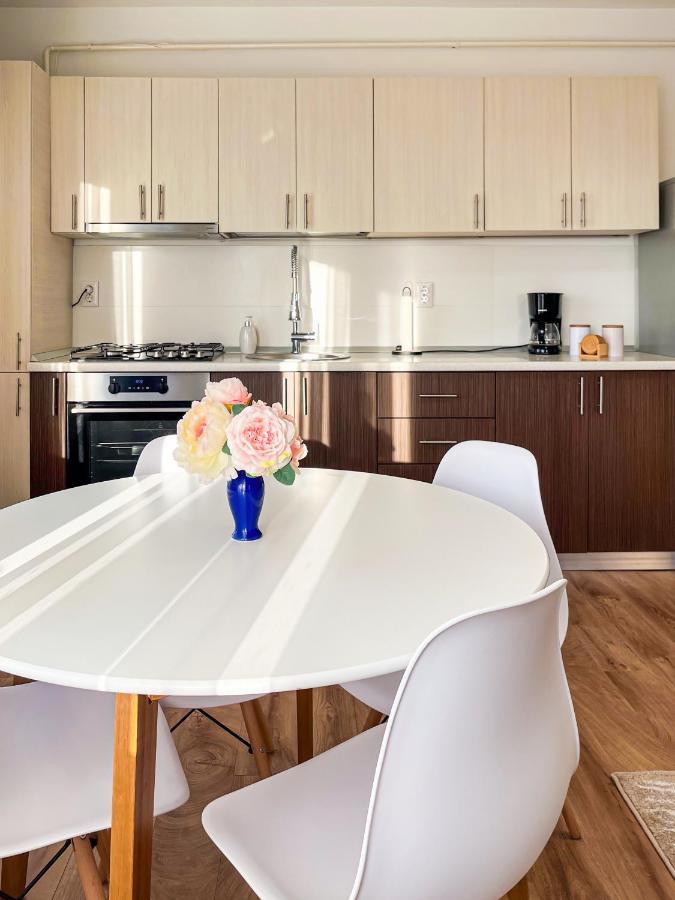 Uniquemoments Airport Apartment & Secure Parking & Airport Shuttle Iasi Buitenkant foto